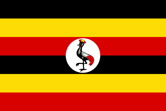 state flag image