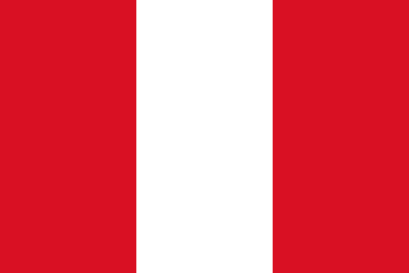 state flag image