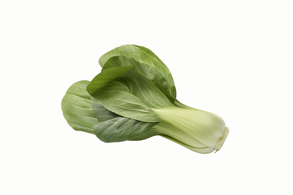 pakchoi-1-piece