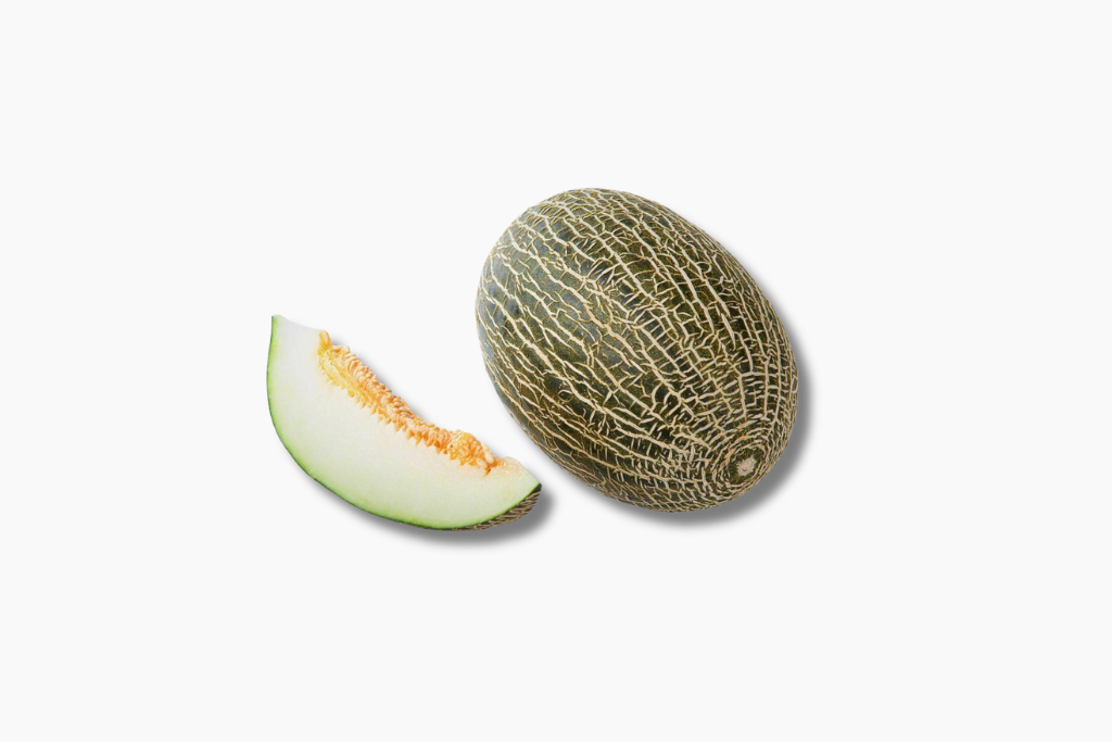 melon-piel-de-sapo-1-piece