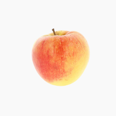 pomme-jonagold-1-piece