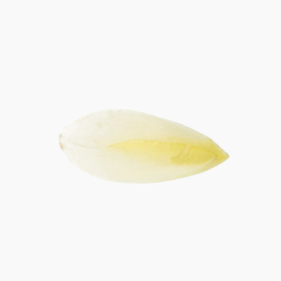 chicons-500g
