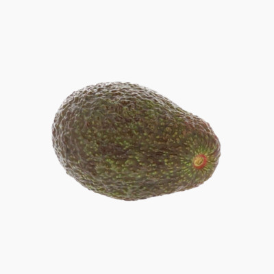 avocat-1-piece