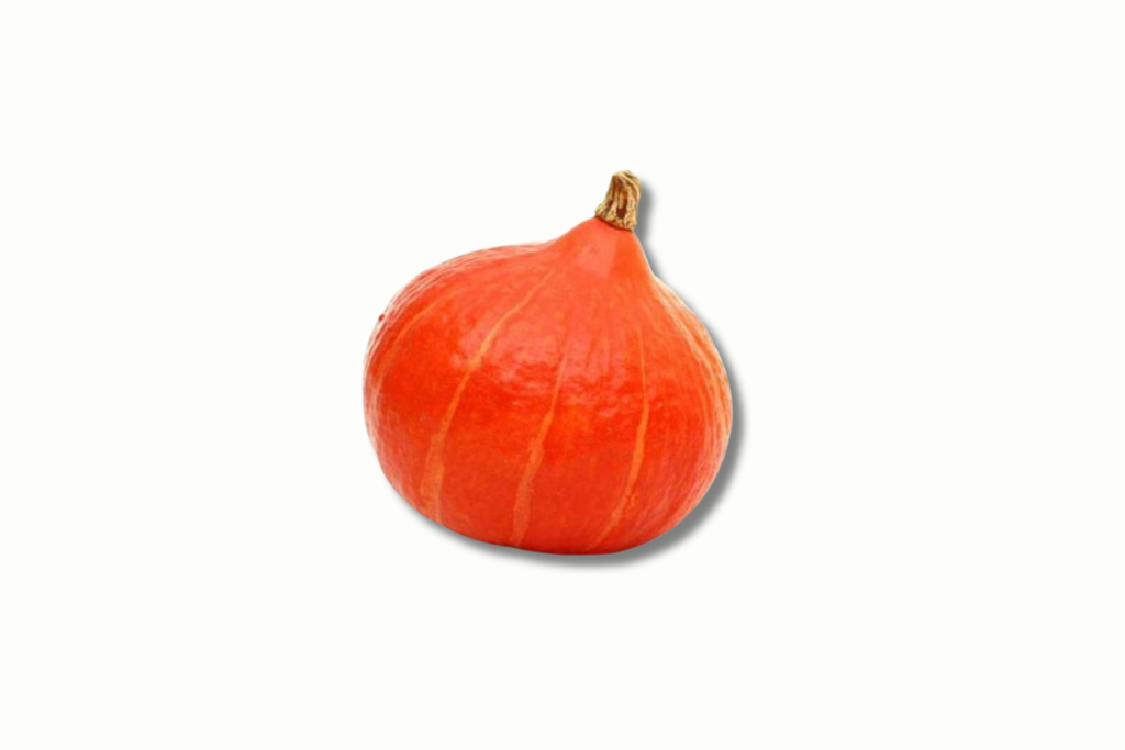 potimarron-orange-1-piece
