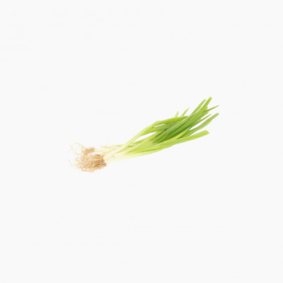 oignon-jeune-1-botte