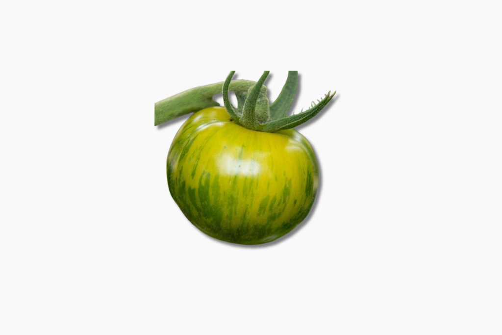tomate-verte-1-piece