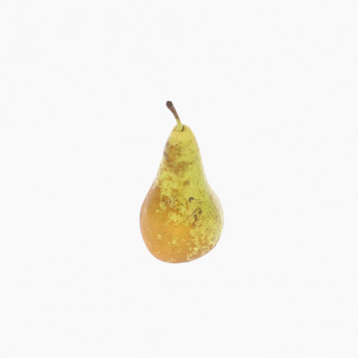 poire-conference-1-piece