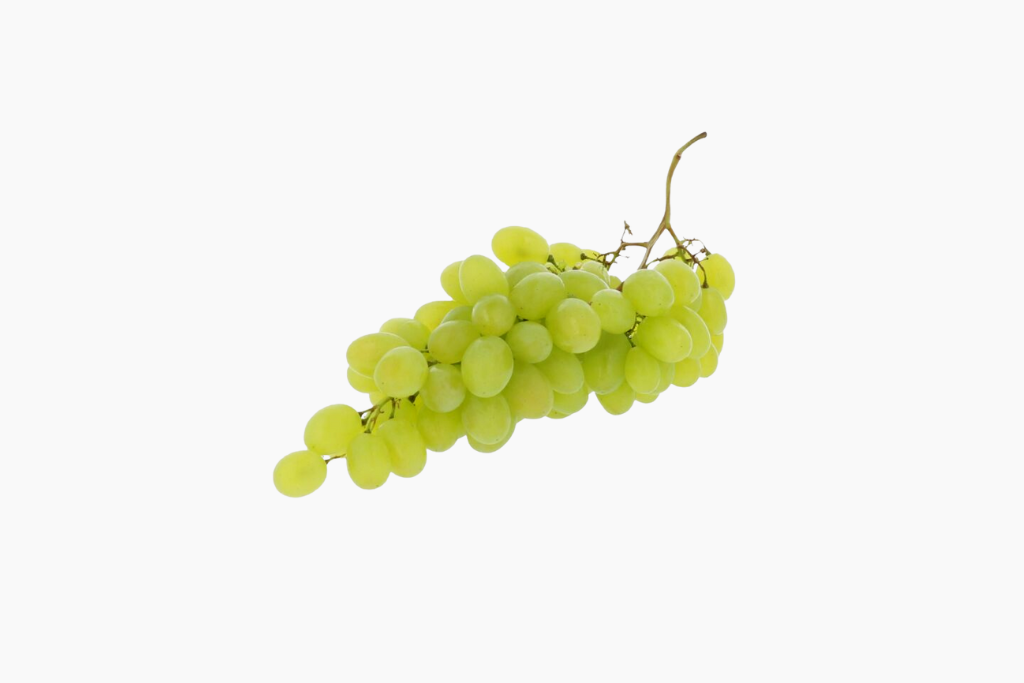 raisins-500g