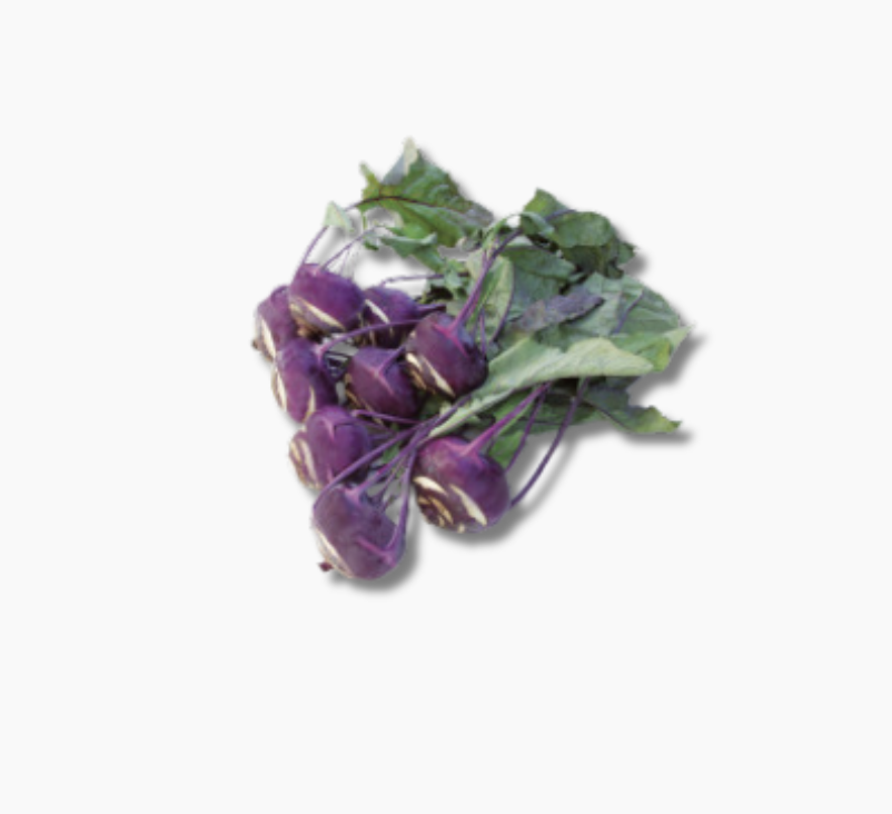 chou-rave-violet-1-piece