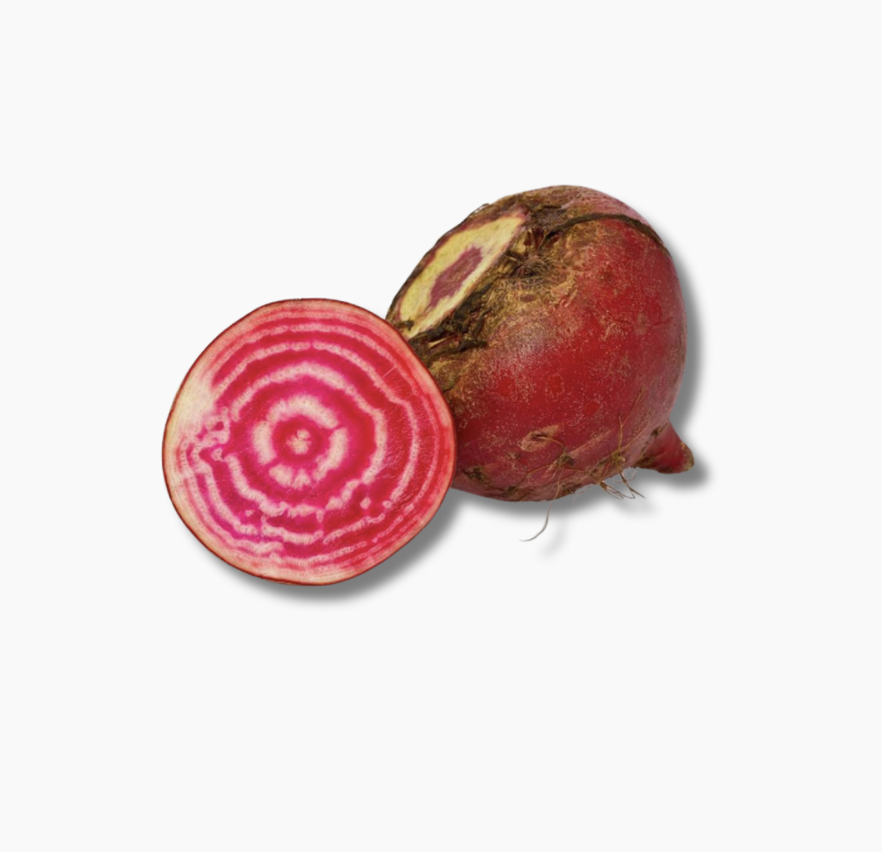 betterave-chioggia-1-piece