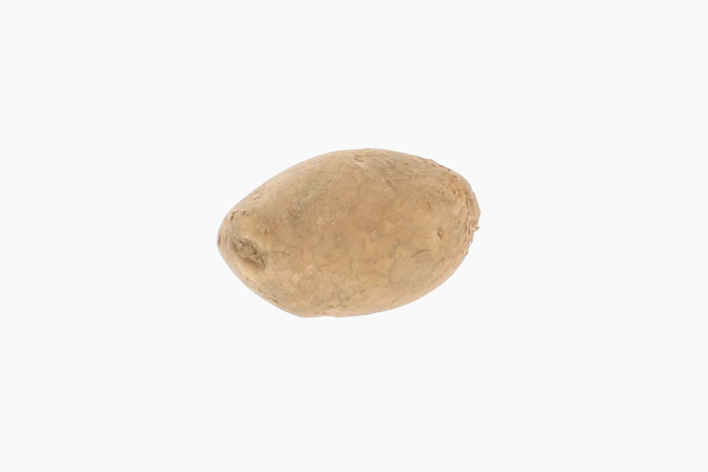 pomme-de-terre-agria-1-kg