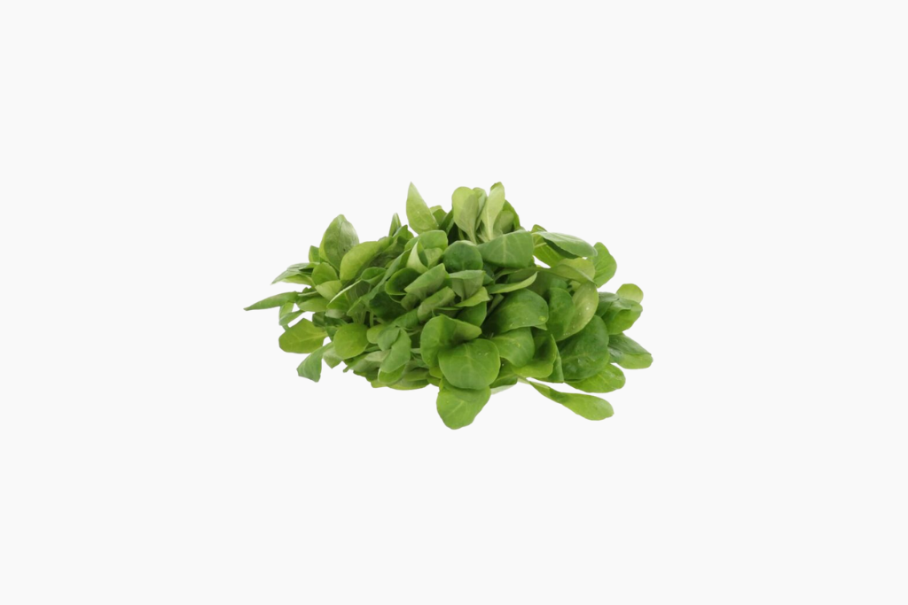 salade-de-ble-mache-250g