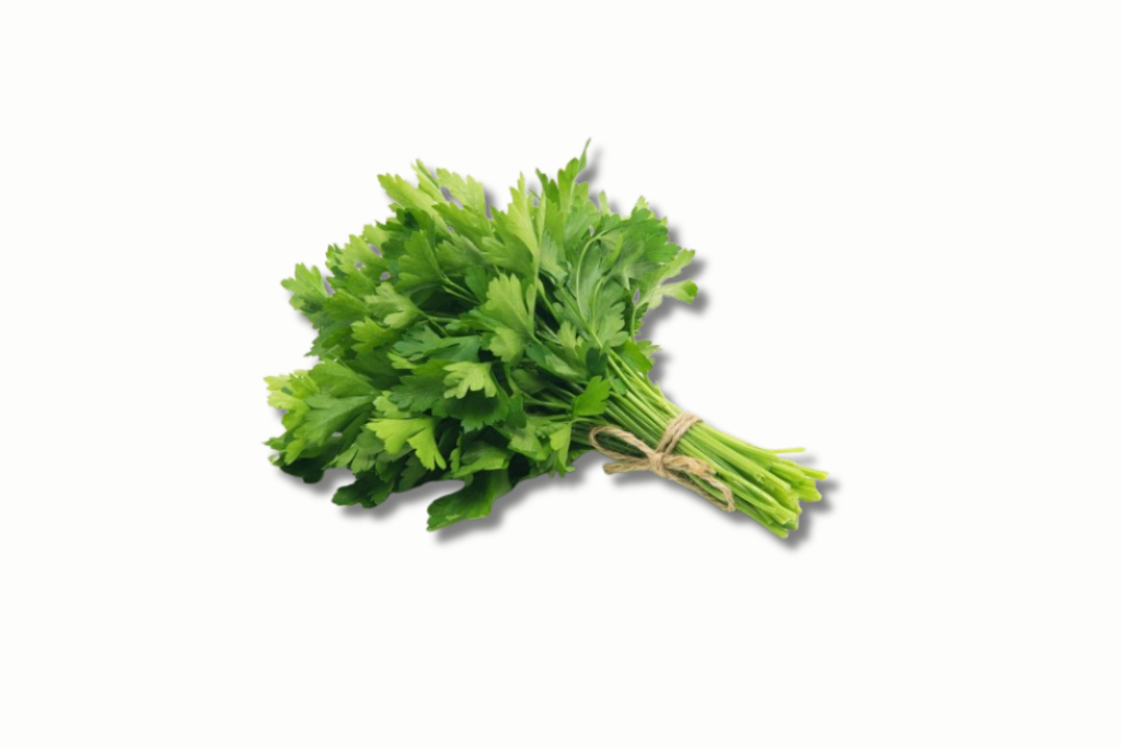 persil-plat-1-botte