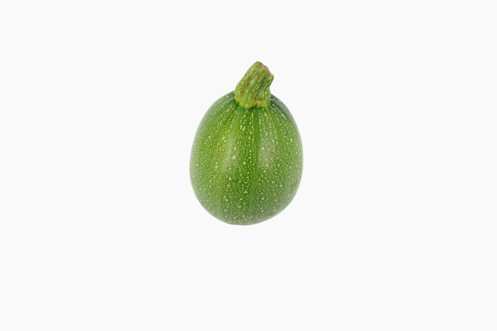 courgette-ronde-1-piece