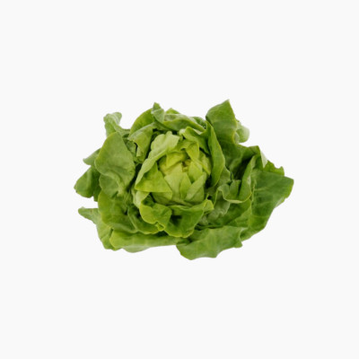 laitue-feuille-de-chene-verte-salade-1-piece