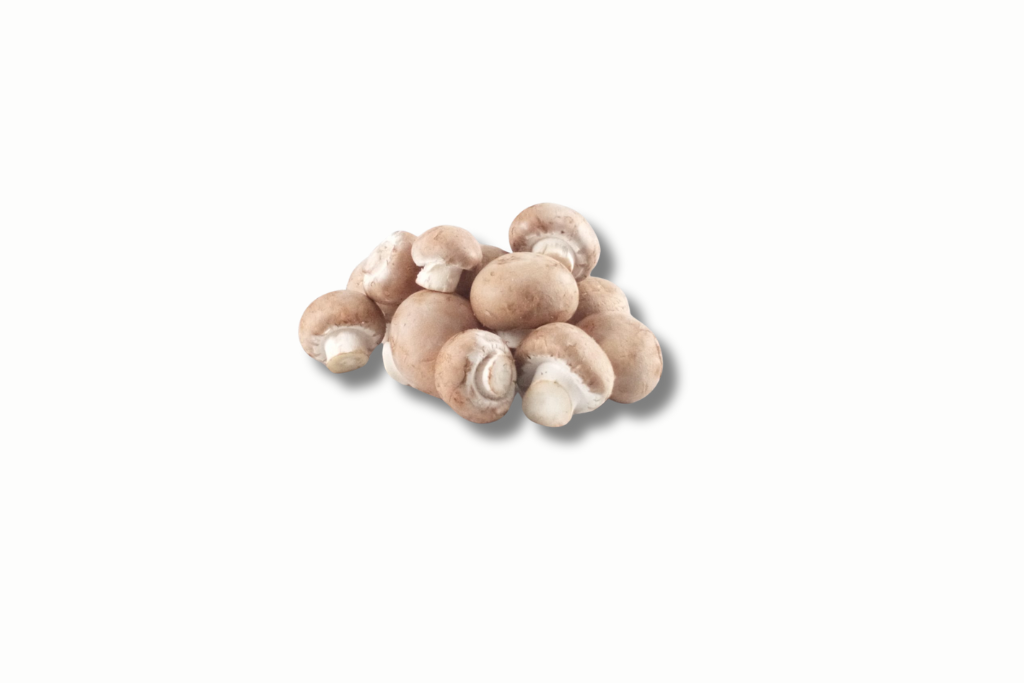 champignon-chataigne-250g