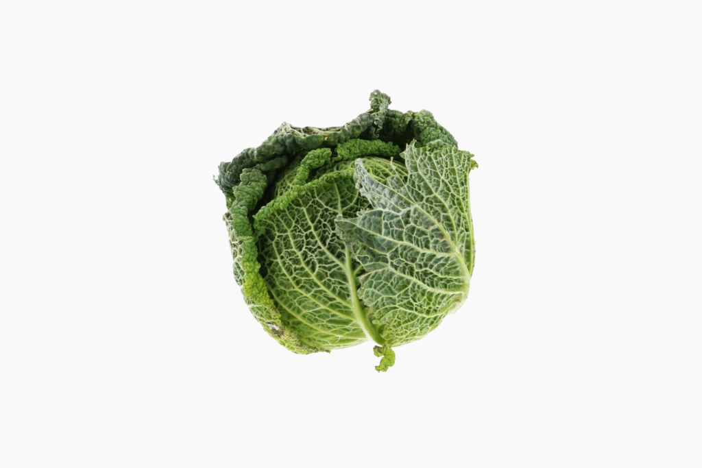chou-vert-1-piece