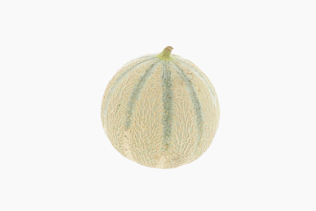 melon-charentais-1-piece