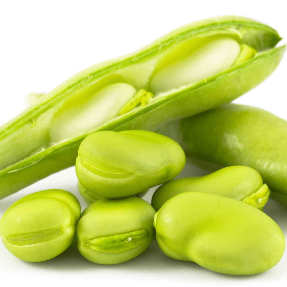 feves-des-marais-500g
