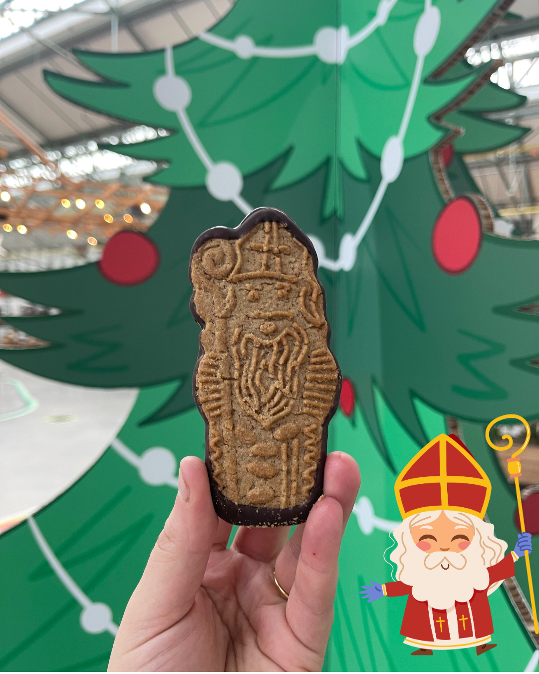 speculoos-chocolat-noir-71-4-pieces