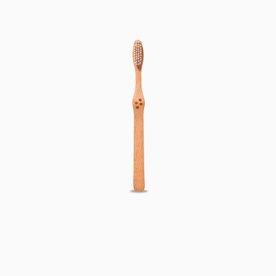 brosse-a-dent-adulte-hard-1-piece