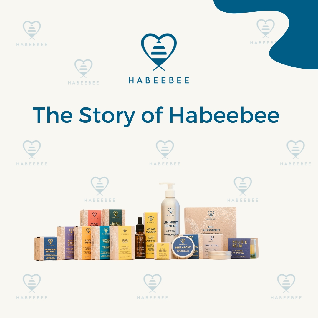 The Story of Habeebee blog image