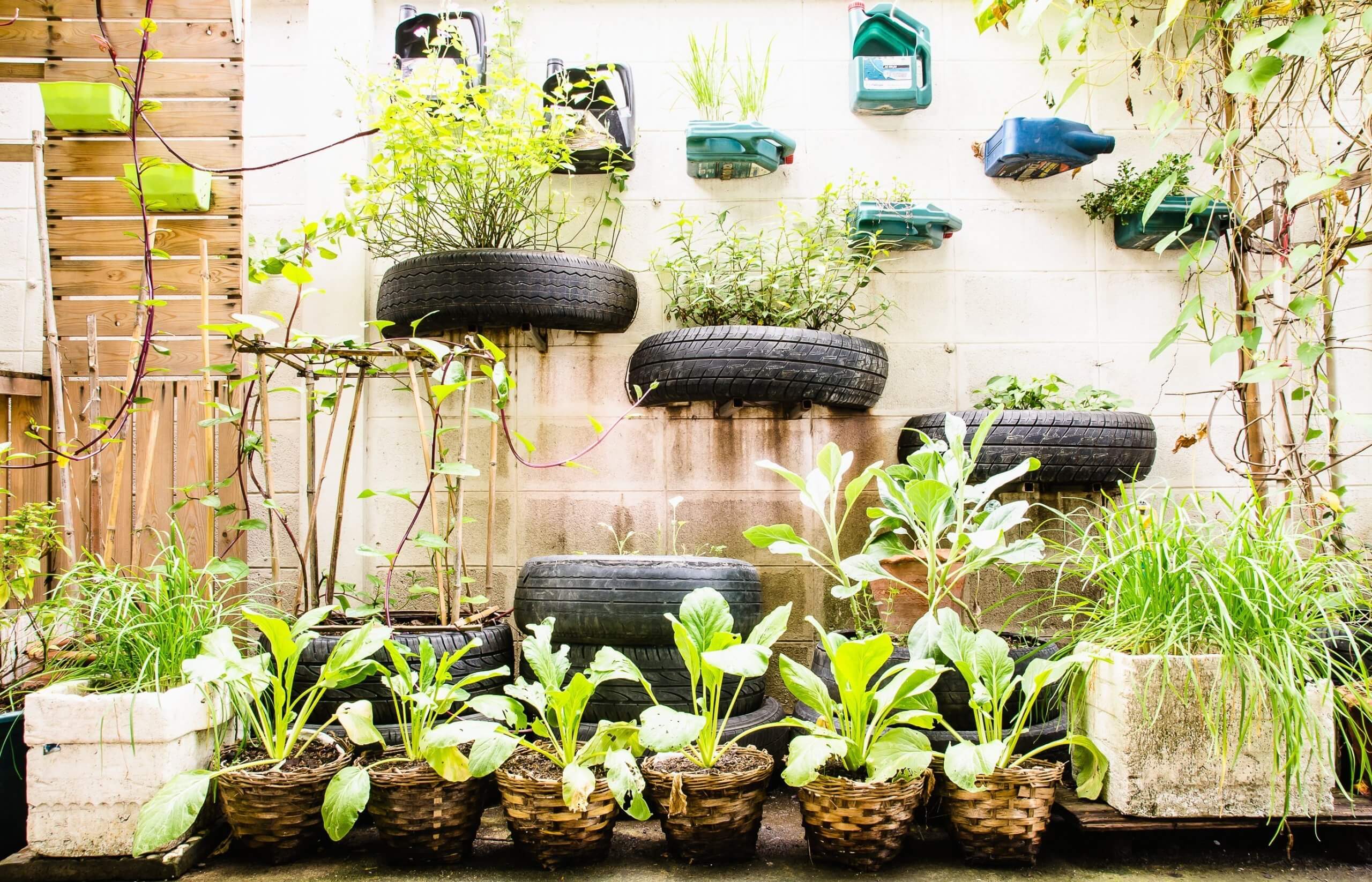 Qu’est-ce qu’un jardin urbain ? blog image