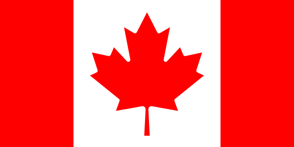 state flag image